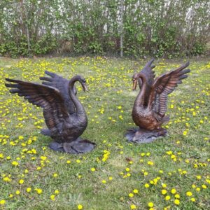 Exotic Bronze Swan Fountain Wingspread Sculpture Water Feature FO 3 5 | Avant Garden Bronzes