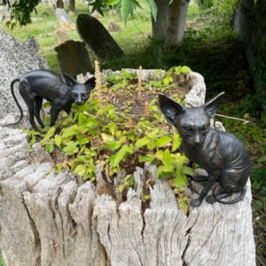 Sphynx Cats Lifestyle Bronze Sculptures 5 | Avant Garden Bronzes