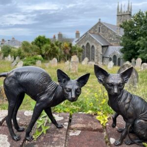 Sphynx Cats Lifestyle Bronze Sculptures 7 | Avant Garden Bronzes