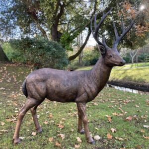 Stag Bronze Deer Sculpture 135cm Lifestyle 1 | Avant Garden Bronzes