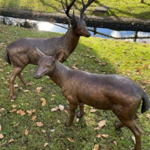 Bronze Stag 131cm Wild Deer Garden Sculpture WI 3 2 | Avant Garden Bronzes