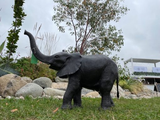 Bronze elephant fountain sculpture with water spouting from trunk beside garden pond