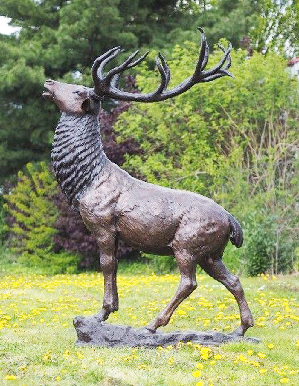 Solid Bronze Stag Sculpture Male Deer Art Statue | Avant Garden