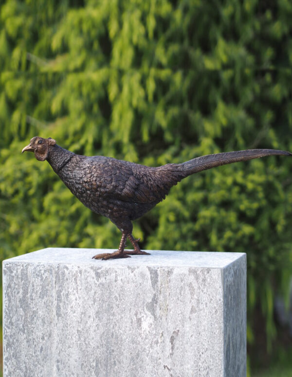 BI 77 Solid Bronze Pheasant 34x18x75cm 1 | Avant Garden Bronzes