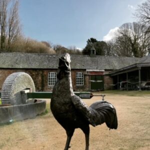 Cockerel Bronze Sculpture 2 | Avant Garden Bronzes
