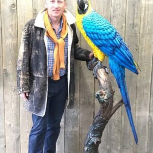 Solid Bronze Parrots Macaw Blue 2 | Avant Garden Bronzes