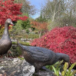 Feeding Duck Walking Goose Bronze Sculptures 6 | Avant Garden Bronzes