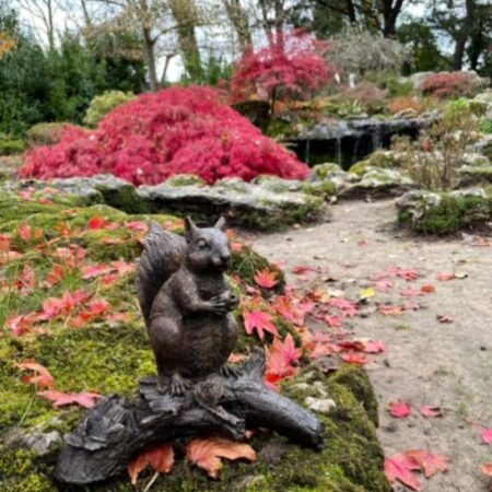 MI 36 Solid Bronze Squirrel Sculpture Jersey 7 | Avant Garden Bronzes