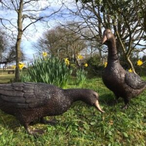 Feeding Duck Walking Goose Bronze Sculptures 9 | Avant Garden Bronzes
