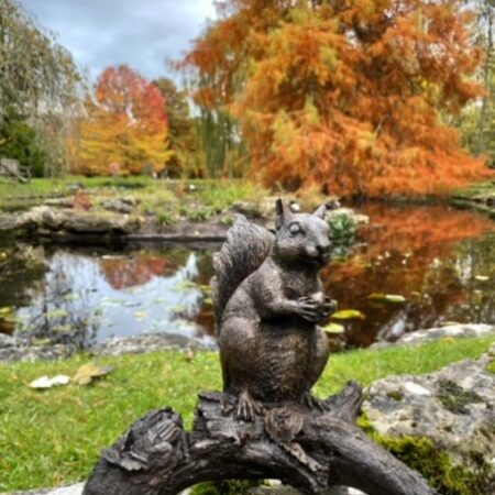 MI 36 Solid Bronze Squirrel Sculpture Jersey 6 | Avant Garden Bronzes