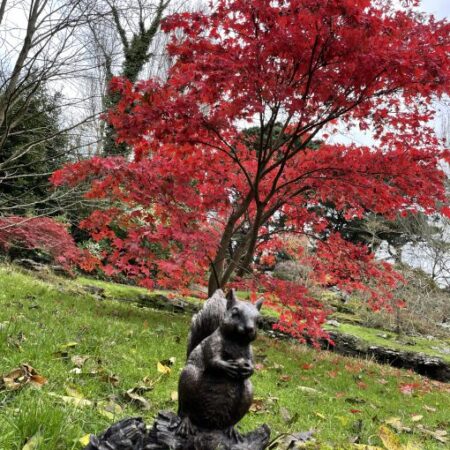 MI 36 Solid Bronze Squirrel Sculpture Jersey 3 | Avant Garden Bronzes