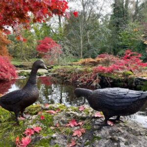 Feeding Duck Walking Goose Bronze Sculptures 3 | Avant Garden Bronzes