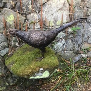 BI 77 Solid Bronze Pheasant 34x18x75cm 6 | Avant Garden Bronzes