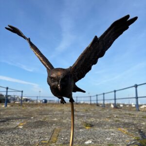 Bronze owl sculpture in flight wings spread bird of prey garden pedestal rockery or interior display