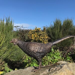 Bronze Pheasant Lifesize Countryside Bird Sculpture 75cm Long BI 77 3 | Avant Garden Bronzes