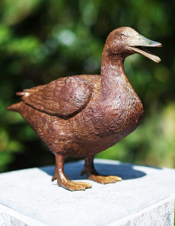 BI 1 Solid Bronze Duck Sculpture 1 | Avant Garden Bronzes