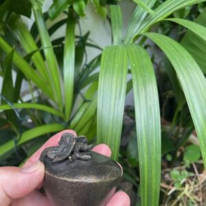 Cremation Urn Violet Flower Memorial Mini Bronze Ashes Keepsake MESU 31 6 | Avant Garden Bronzes