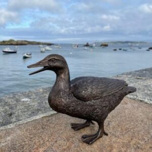 BI 1 Solid Bronze Duck Sculpture 5 | Avant Garden Bronzes