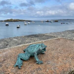 FO 25 Bronze Fountain Frog Spitting Water Feature 4 | Avant Garden Bronzes