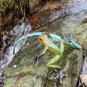 Bronze Frog & Ladybird Sculpture On Glazed Branch MI 40 - Image 6