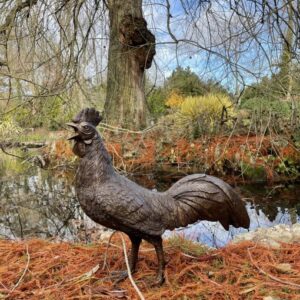 Bronze Bird Sculpture Cockerel Rooster Lifesize BI 62 5 | Avant Garden Bronzes