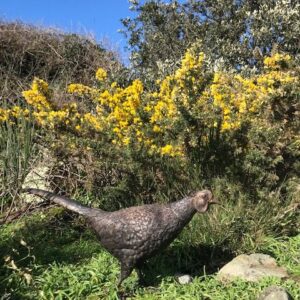 Bronze Pheasant Lifesize Countryside Bird Sculpture 75cm Long BI 77 6 | Avant Garden Bronzes