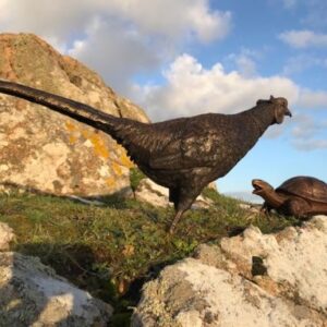 Bronze Pheasant Lifesize Countryside Bird Sculpture 75cm Long BI 77 8 | Avant Garden Bronzes