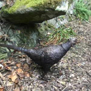 Bronze Pheasant Lifesize Countryside Bird Sculpture 75cm Long BI 77 5 | Avant Garden Bronzes