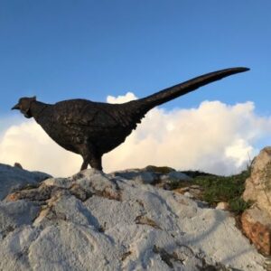 Bronze Pheasant Lifesize Countryside Bird Sculpture 75cm Long BI 77 2 | Avant Garden Bronzes
