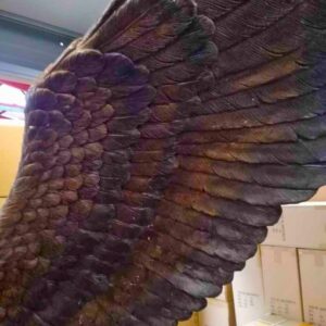 Bronze Bird Eagle Wingspread Sculpture Lifesize On Tree BI 53 10 | Avant Garden Bronzes