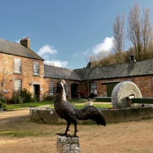 Bronze Bird Sculpture Cockerel Rooster Lifesize BI 62 3 | Avant Garden Bronzes