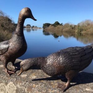 Bronze Bird Farmyard Duck Feeding Sculpture BI 47 12 | Avant Garden Bronzes