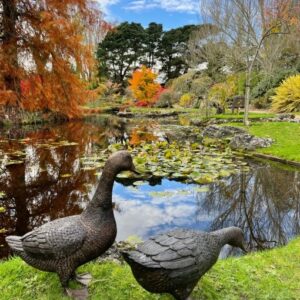 Bronze Bird Farmyard Duck Feeding Sculpture BI 47 5 | Avant Garden Bronzes