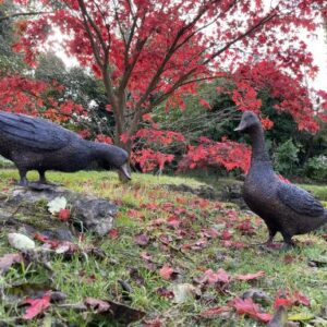 Bronze Bird Farmyard Duck Feeding Sculpture BI 47 7 | Avant Garden Bronzes