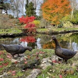 Bronze Bird Farmyard Duck Feeding Sculpture BI 47 8 | Avant Garden Bronzes