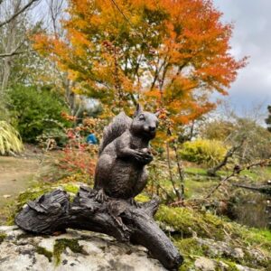 Bronze Red Squirrel Woodland Wild Animal Sculpture MI 36 10 | Avant Garden Bronzes