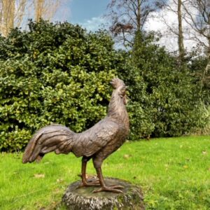Bronze Bird Sculpture Cockerel Rooster Lifesize BI 62 1 | Avant Garden Bronzes