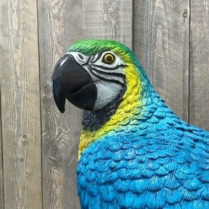 Solid Bronze Sculpture Blue Macaw Parrot BI 52