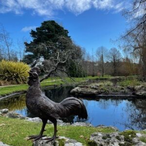 Bronze Bird Sculpture Cockerel Rooster Lifesize BI 62 10 | Avant Garden Bronzes