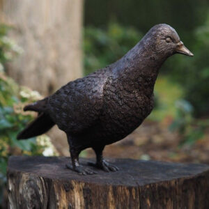 Standing Pigeon Fine Cast Bronze Statue 8 | Avant Garden Bronzes