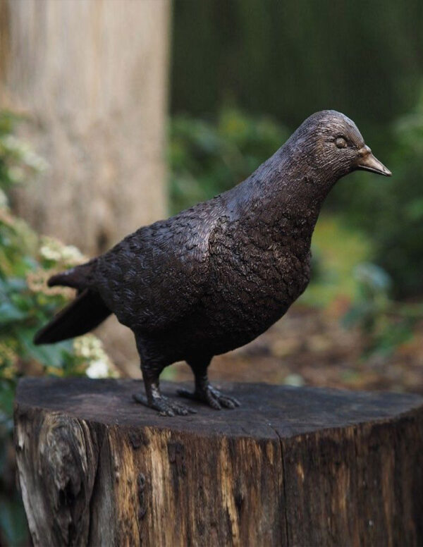 Standing Pigeon Fine Cast Bronze Statue 8 | Avant Garden Bronzes