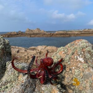 Bronze Octopus Sculpture Eight Legged Sea Creature Red Patina MI 99 11 | Avant Garden Bronzes