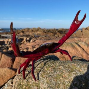 Crab Bronze Sculpture Red Patina 6 | Avant Garden Bronzes