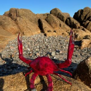 Crab Bronze Sculpture Red Patina 10 | Avant Garden Bronzes