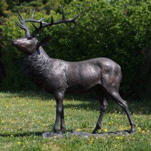 Highland Stag Deer Bronze Sculpture 1 | Avant Garden Bronzes