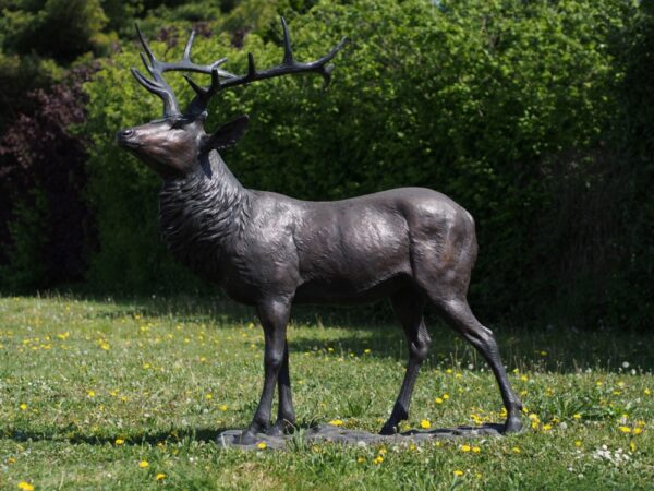 Highland Stag Deer Bronze Sculpture 1 | Avant Garden Bronzes