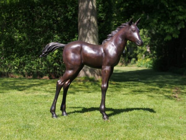 Foal Standing Solid Bronze Sculpture 1 | Avant Garden Bronzes