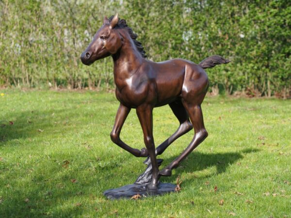 Colt Racing Horse Sculpture Solid Bronze 1 | Avant Garden Bronzes