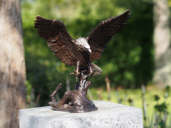 Wingspread Eagle Bird Of Prey Solid Bronze Sculpture 1 | Avant Garden Bronzes