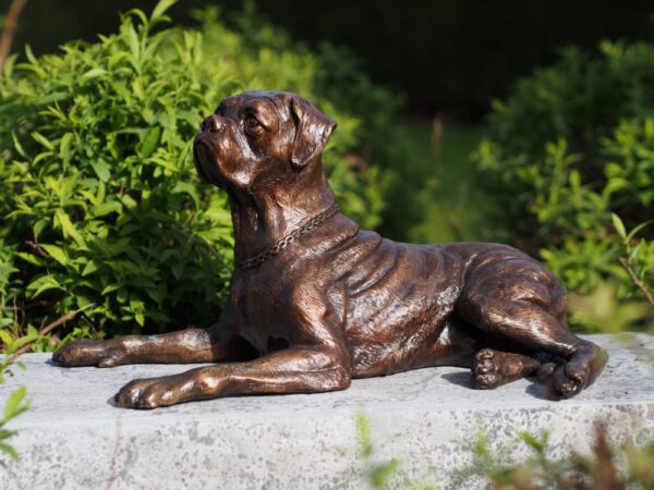 Boxer Dog Bronze Sculpture Canine Ornament 1 | Avant Garden Bronzes